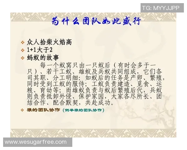 深圳乒乓球队的团队协作之道：凝聚力与默契的完美结合